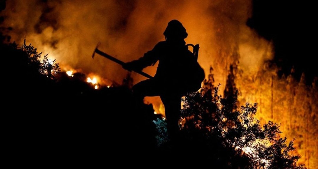Incendio de Tenerife, que ha afectado más de 6.000 hectáreas y ha obligado el desalojo de 26.000 personas | BOMBEROS TENERIFE