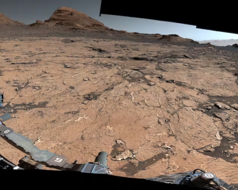 Le Rover Curiosity de la mission Mars Science Laboratory explorant les strates sédimentaires du cratère Gale | NASA/JPL-Caltech/MSSS